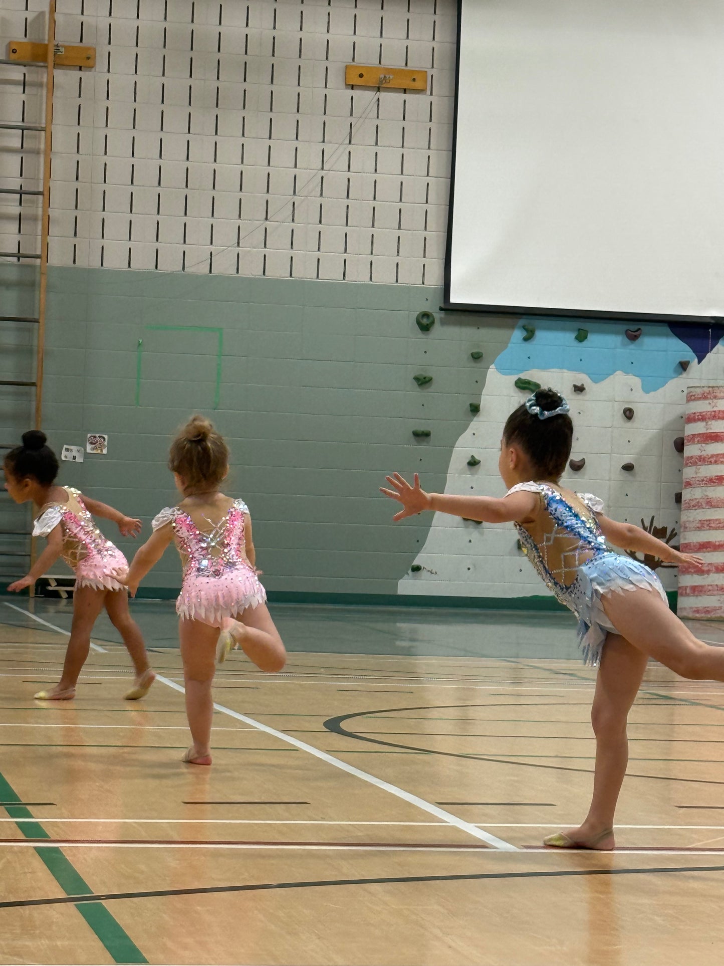 Les Améthystes - Ages 3.5-4 | Saturdays | 9:30 - 10:15