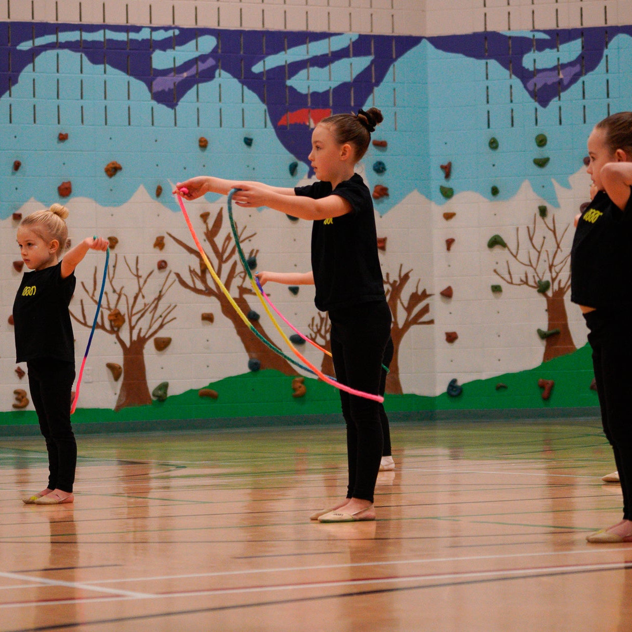 Young Gymnasts warming up with ropes